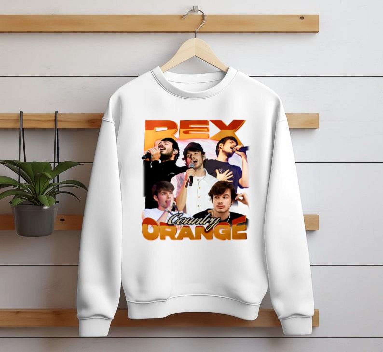 REX ORANGE COUNTY Vintage Rex Orange County Singer Fan Tees Singer