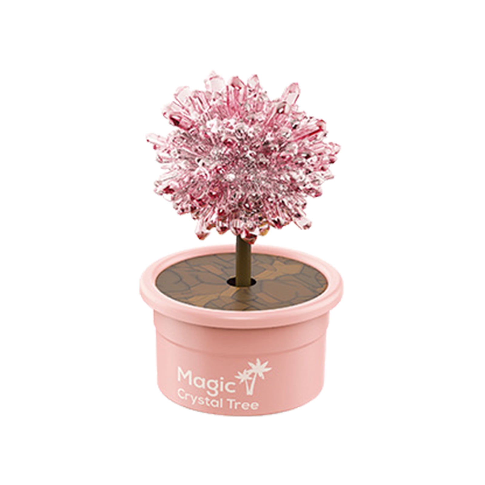 REYYOISKA Arts And Crafts for Kids Ages 24 Growing Kit For Kids