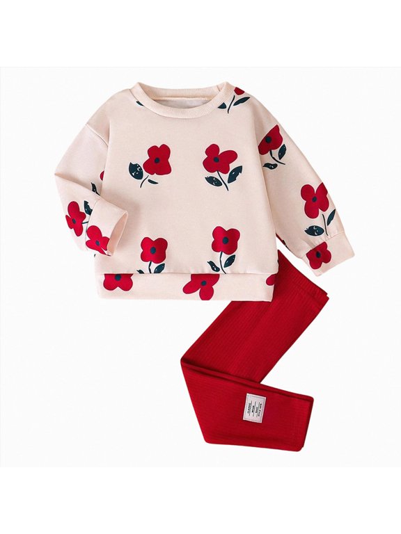 Baby Girl Fall Outfits Toddler Winter Clothes Long Sleeve Floral Sweatshirt and Legging Pants 2Pcs Set