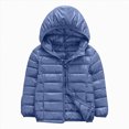 thumbnail image 1 of REgarm Boys Girls Winter Jacket Kids Puffer Coat Size 2-11 Years, Toddler Warm Lightweight Zip Up Outerwear with Hood, 1 of 4