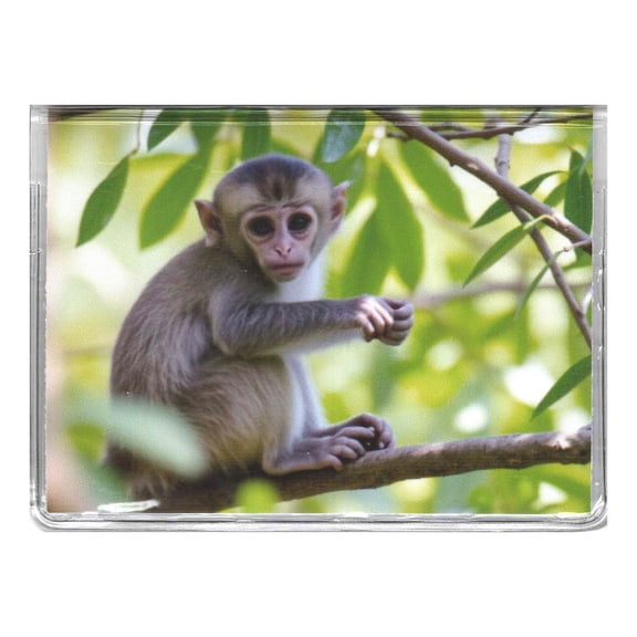 RFID Monkey Debit Credit Card Holder ATM Case & 2 Debit Registers - Handcrafted in USA