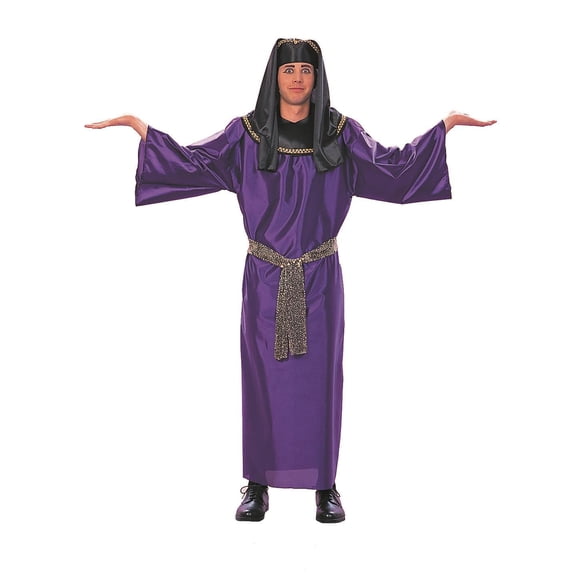 RG Costumes 80144 Pharoah Costume - Size Adult Standard