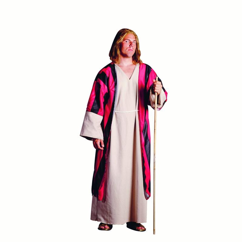 RG Costumes 80184 Moses Costume - Size Adult Standard - Walmart.com