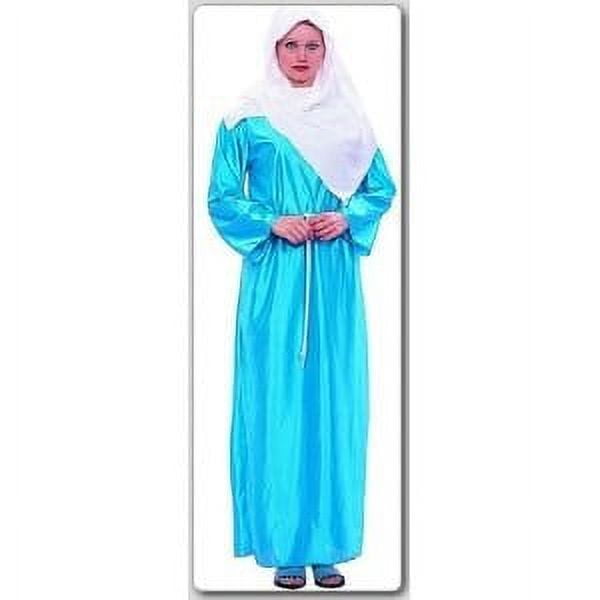 RG Costumes 81180 Virgin Mary Costume - Size Adult Standard - Walmart.com