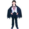 thumbnail image 1 of RG Costumes 90112 Dracula LRG, 1 of 2