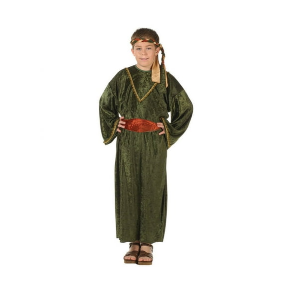 RG Costumes 90282-L Deluxe Wiseman Child Costume - Olive - Size L