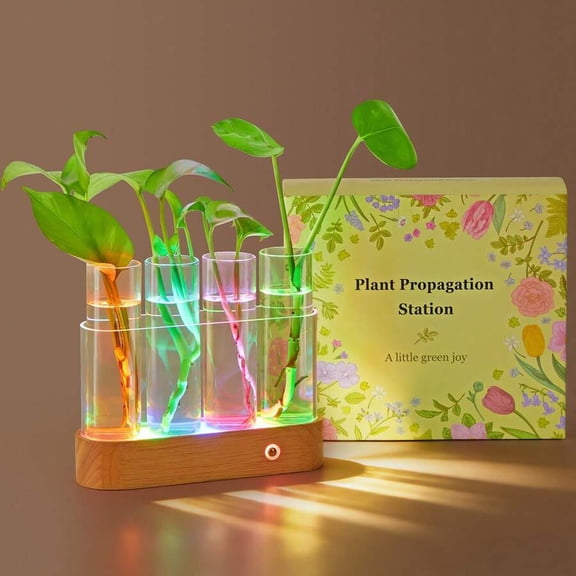 RGB Plant Table Lamp With 9 Lighting Modes, Glass Tube Accent Light For Bedroom And Desk