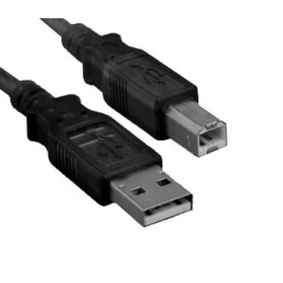RHEA- Economy Usb 2.0 A-B Printer Cable 10 Ft. Feet Black