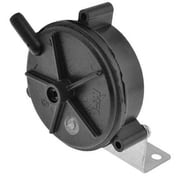 Rheem Vacuum Switch 605328