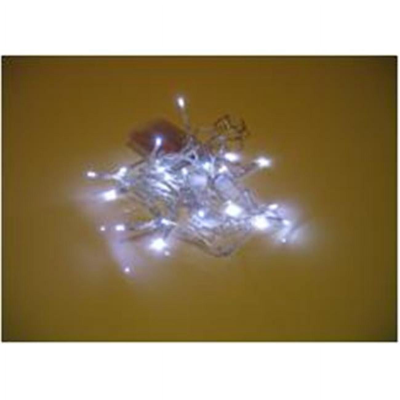 RICELIGHT Battery Operated LED Rice Light Green Wire/Blue LED Case