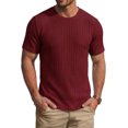 thumbnail image 1 of RICHCOIN Men's Ribbed Knit Crewneck T-Shirts Short Sleeve Textured Solid Casual Tee, 1 of 7
