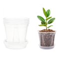 RICHOOSE Clear Nursery Pots for Plants,5 Pack 6 Inch Transparent