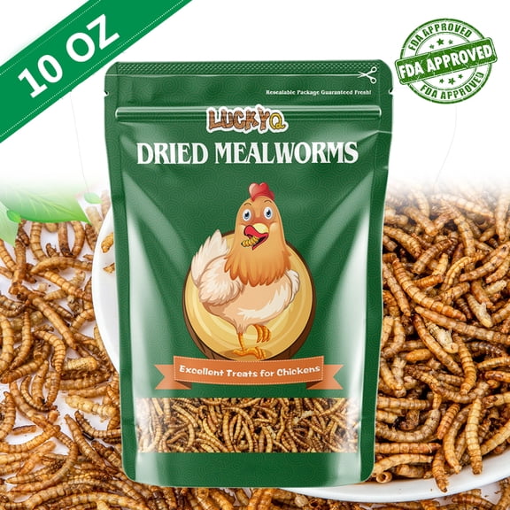 RIDWIND 100% Non-GMO Dried Mealworms 10OZ High-Protein Treats Natural Animal Feed for Birds Chicken Turtles Fish Hamsters Hedgehogs