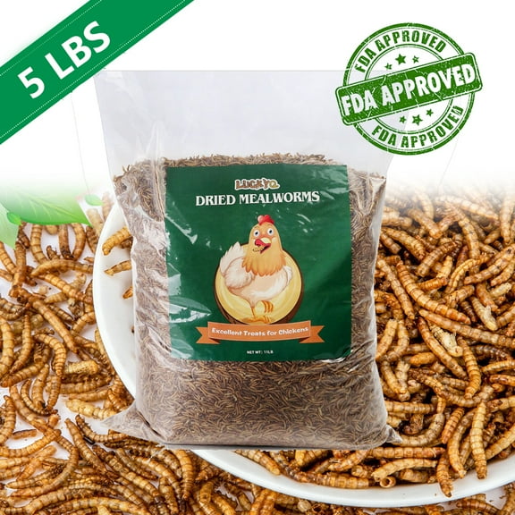 RIDWIND 100% Non-GMO Dried Mealworms 5Lbs High-Protein Treats Natural Animal Feed for Birds Chicken Turtles Fish Hamsters Hedgehogs