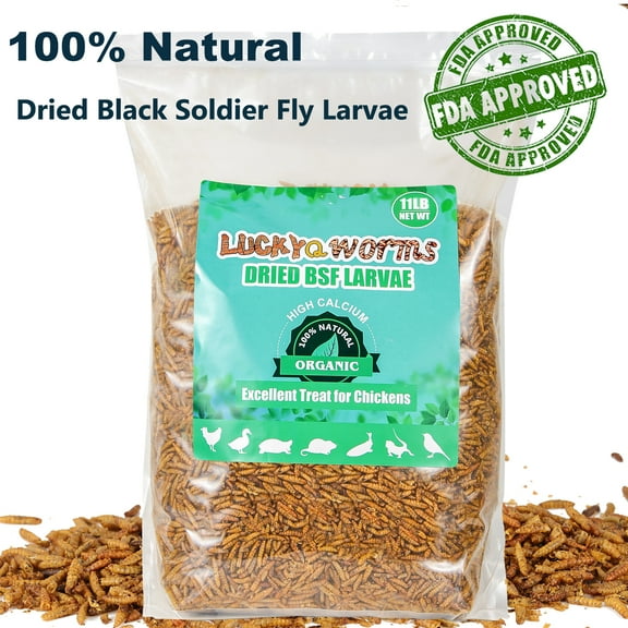 RIDWIND Dried Black Solidier Fly Larvae 11Lbs High-Protein BSF Larvae Chicken Treats Non-GMO BSFL for Chickens Hens, Ducks Wild Birds