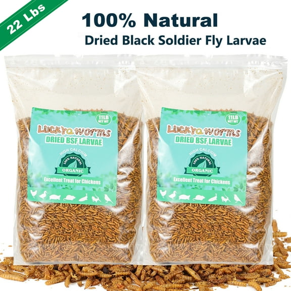 RIDWIND Dried Black Solidier Fly Larvae 22Lbs High-Protein BSF Larvae Chicken Treats Non-GMO BSFL for Chickens Hens, Ducks Wild Birds
