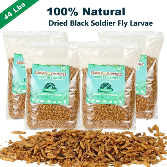 RIDWIND Dried Black Solidier Fly Larvae 44Lbs High-Protein BSF Larvae Chicken Treats Non-GMO BSFL for Chickens Hens, Ducks Wild Birds