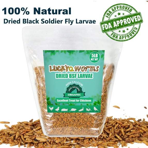 RIDWIND Dried Black Solidier Fly Larvae 5Lbs High-Protein BSF Larvae Chicken Treats Non-GMO BSFL for Chickens Hens, Ducks Wild Birds
