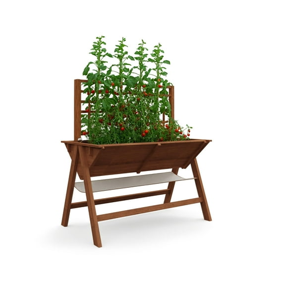 RIEDHOFF 52x30x54in Raised Garden Bed with Legs,Wooden Elevated Raised Garden Beds Outdoor for Growing Vegetables and Herbs,with Trellis for Vine Climbing Plants|Multi-Functional,Acorn Brown