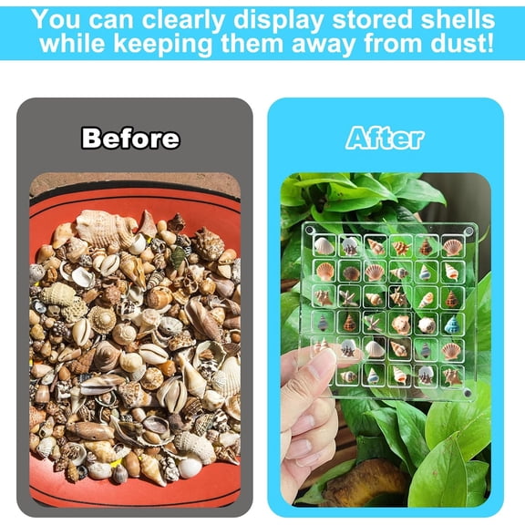 RIHJIN-Acrylic Seashell Display Box,Clear Sea Shell Holder Display Box,Beach Shelling Collecting Tools,Storage Organizer Tiny Case for Seashell Diamond Beads (2 pack-72 grids)