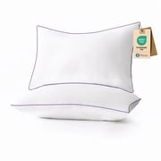 RILIHO Bed Pillows for Sleeping 2 Pack Standard Size Pillows for Side and Back Sleepers,Super Soft Down Alternative Microfiber Filled Pillows,17 x 26 Inches