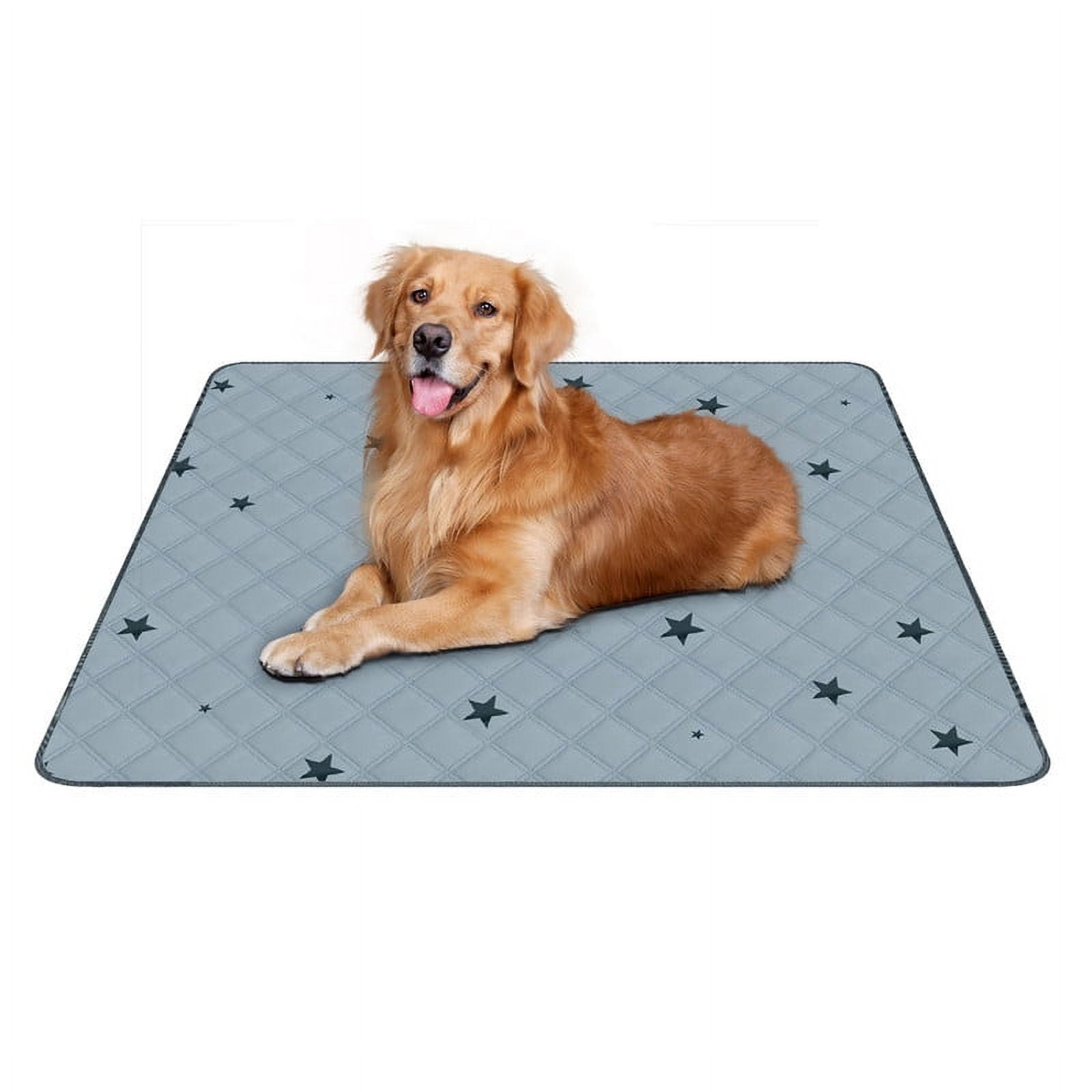 RIOUSSI Washable Pee Pads for Dogs, Puppy Pads for Potty Training with Leakproof Bottom. 1 Pack, 36"x72"