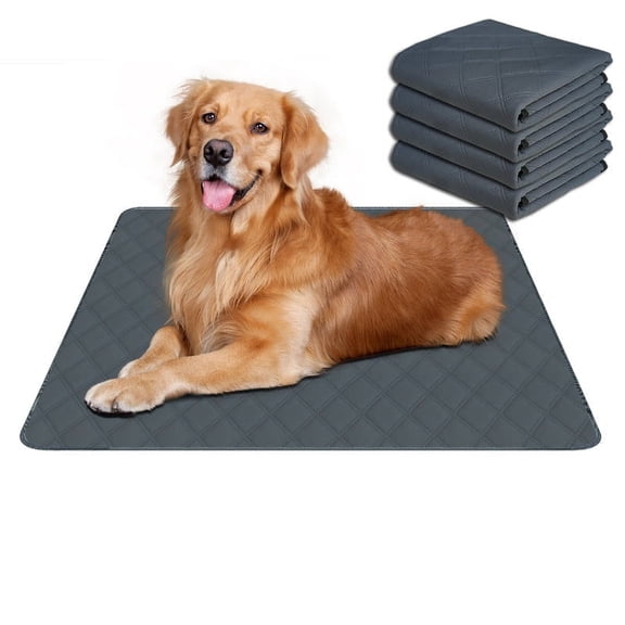 RIOUSSI Washable Pee Pads for Dogs, Puppy Pads for Potty Training with Leakproof Bottom. Dark Gray, 2 Pack, 20"x28"