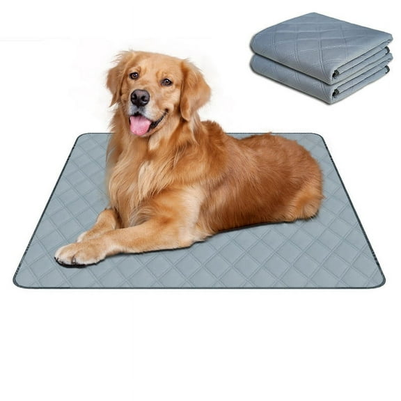 RIOUSSI Washable Pee Pads for Dogs, Puppy Pads for Potty Training with Leakproof Bottom. Light Gray, 2 Pack, 18"x24"