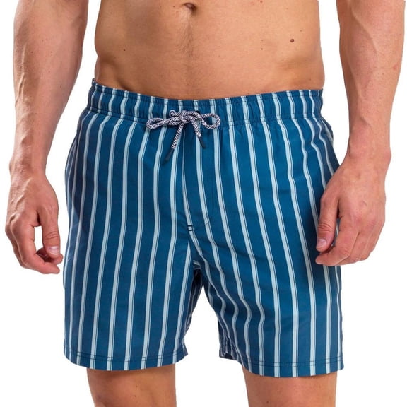 RIPT Essentials Mens Stripe Swim Shorts