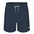 thumbnail image 1 of RIPT Essentials Mens Swim Shorts, 1 of 5