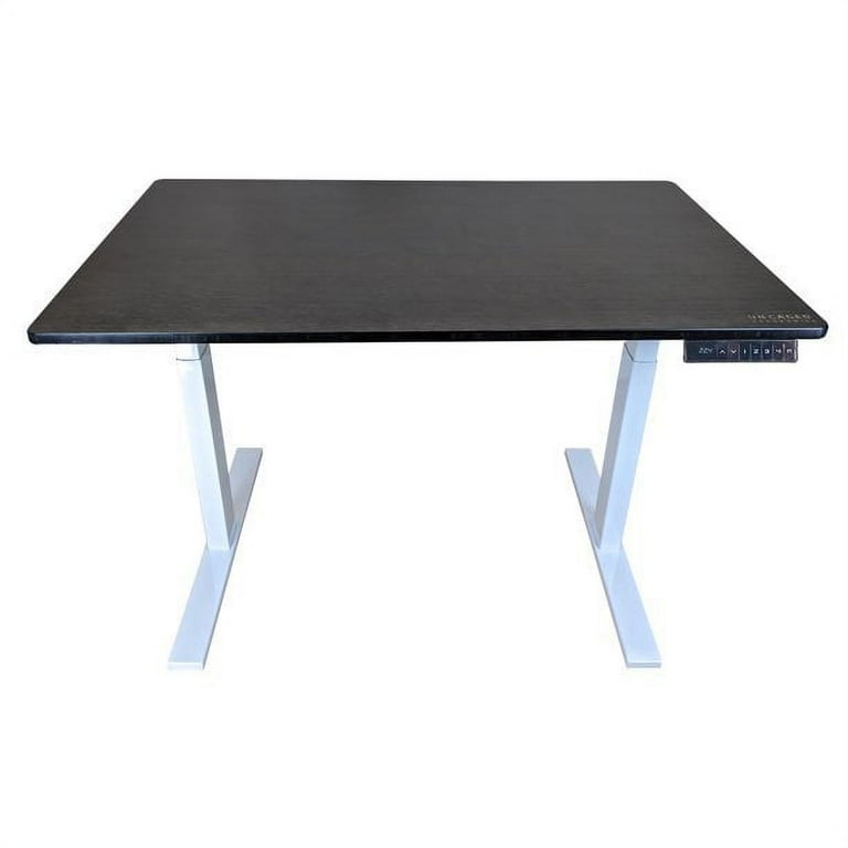 RISE UP dual motor electric standing desk 48x30
