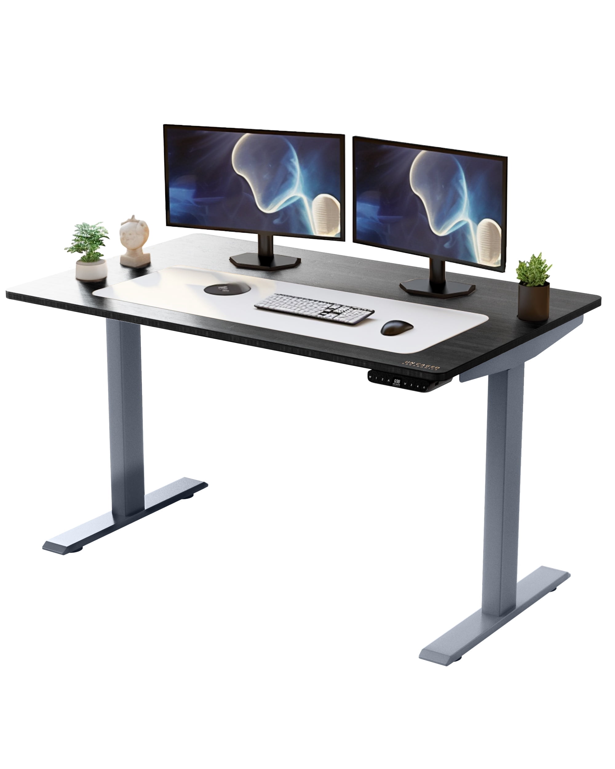 Rise Up Premium Electric Standing Desk 60x30”| Dual Motor Adjustable Height Sit Stand Computer Desk for Home Office | Ergonomic Motorized Desk with Memory Presets, Anti-Collision, and Steel Frame