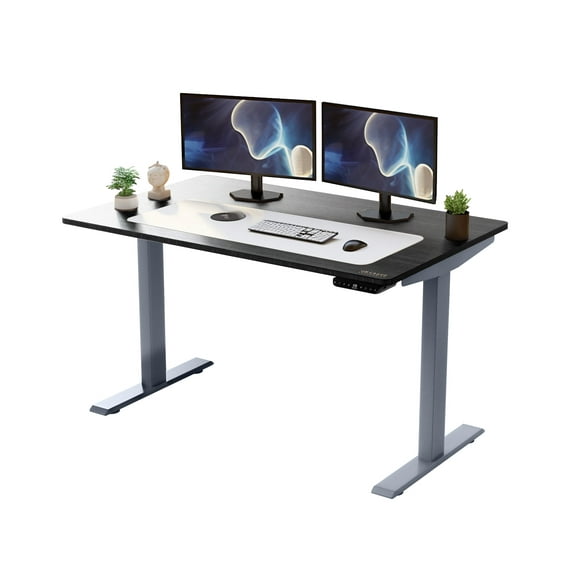 Rise Up Premium Electric Standing Desk 60x30| Dual Motor Adjustable Height Sit Stand Computer Desk for Home Office | Ergonomic Motorized Desk with Memory Presets, Anti-Collision, and Steel Frame