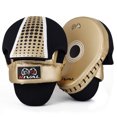 thumbnail image 1 of RIVAL Boxing RAPM Pro Punch Mitts - Gold, 1 of 3