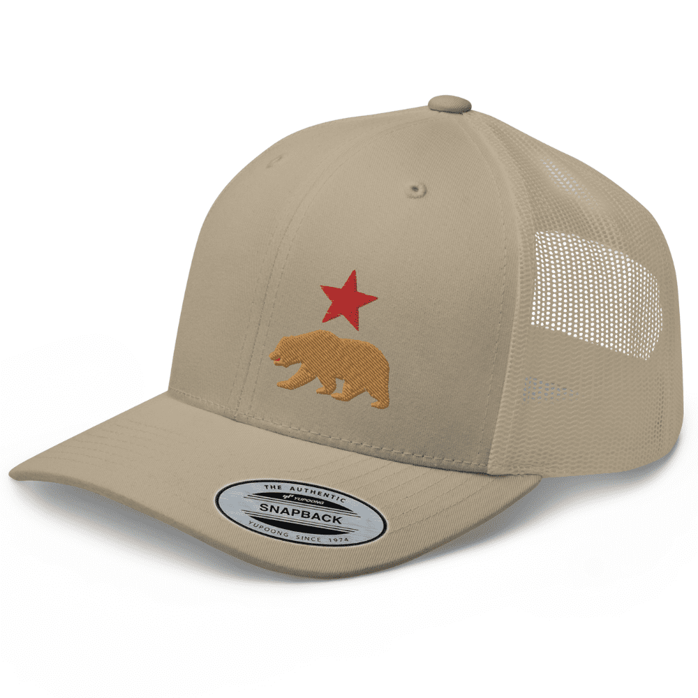 Bitcoin Hat RIVEMUG Planet Express Premium Trucker Hat Curved Bill Mid  Crown Adjustable Cap Brown Khaki Bitcoin Bills
