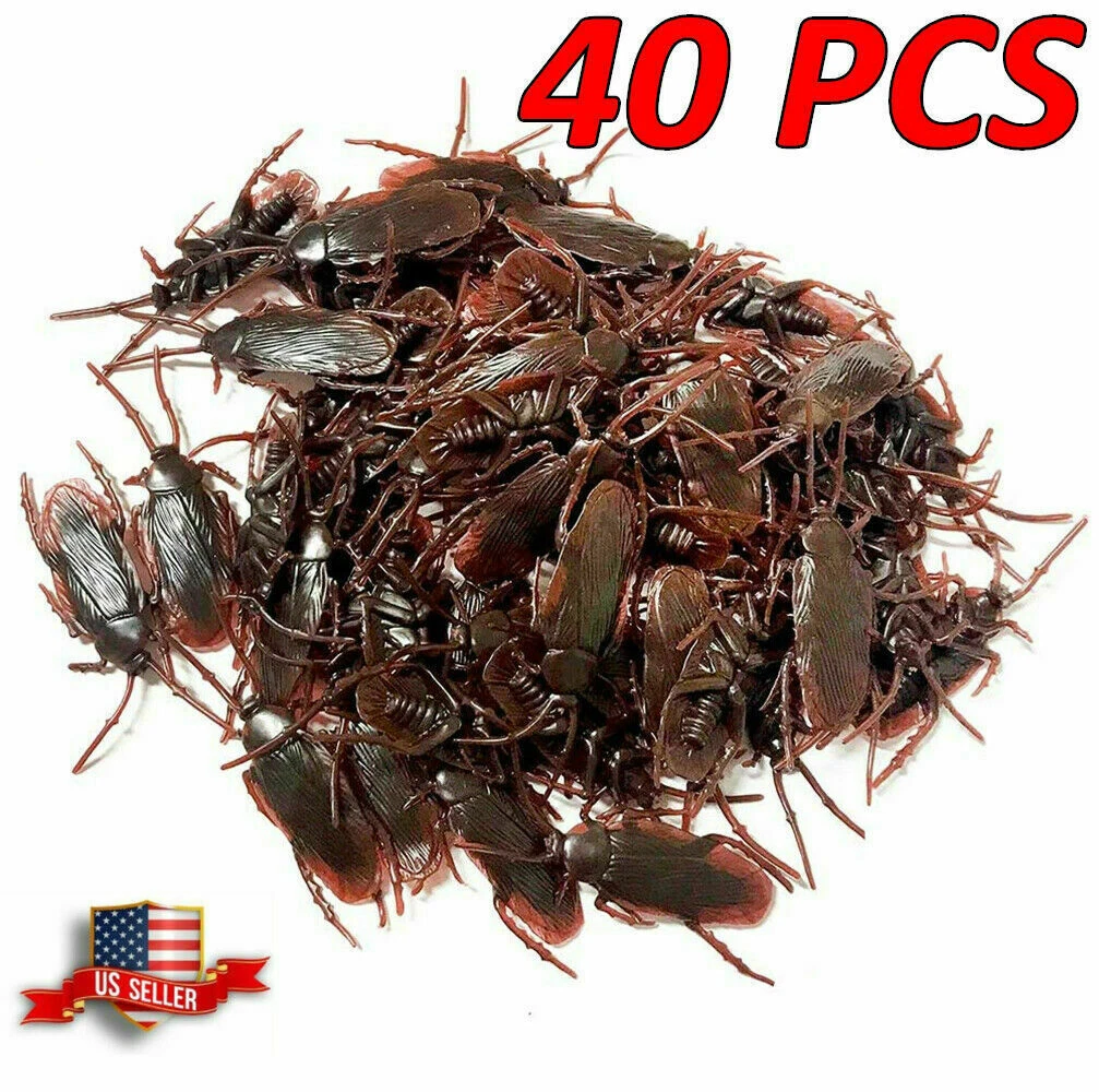 Cockroach Toy
