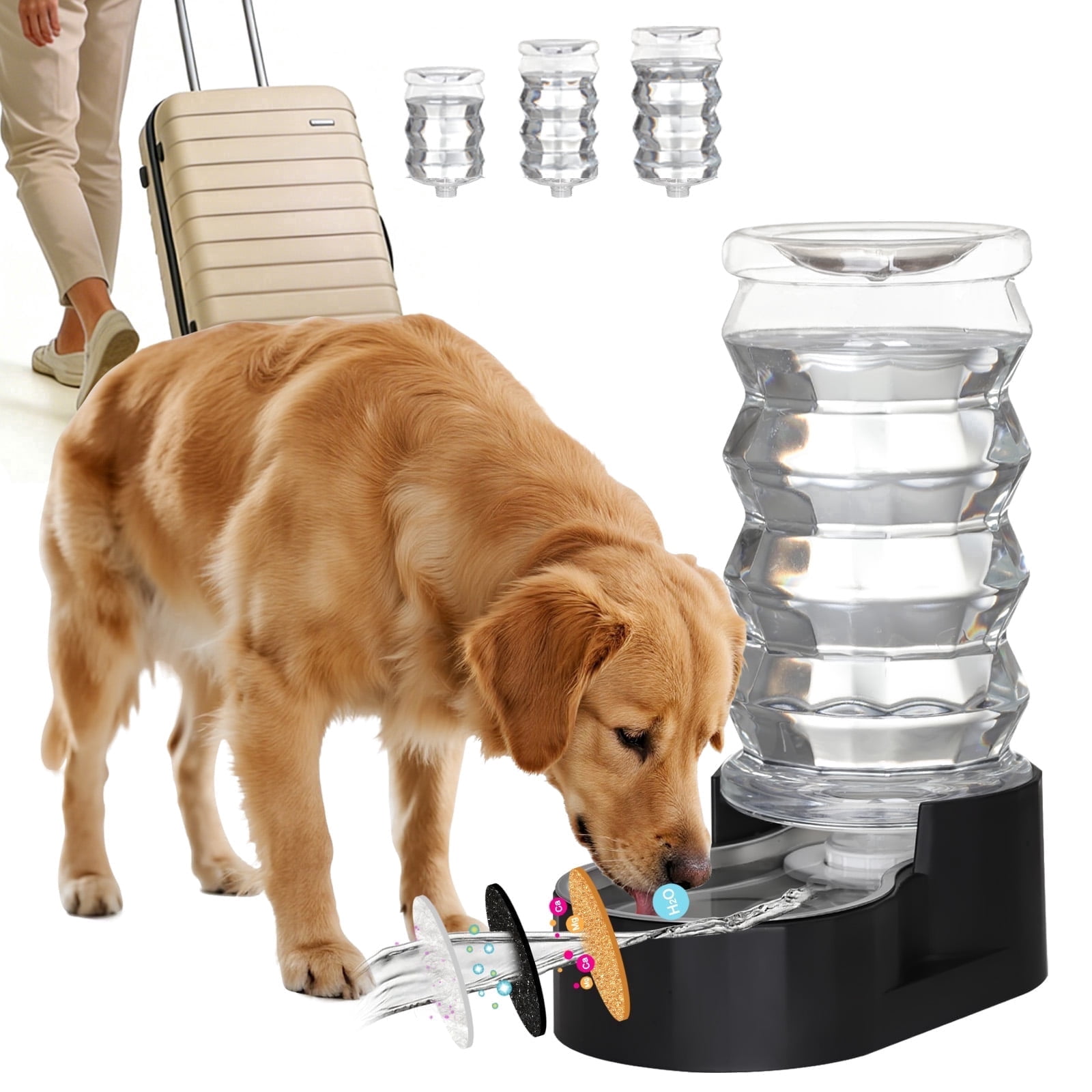 RIZZARI Black 8L Automatic Pet Waterer - Gravity-fed Stainless Steel Water Dispenser, 100% BPA Free, Leak-proof, Odorless, Easy to clean,  Large Capacity Feeder for Cats and Dogs