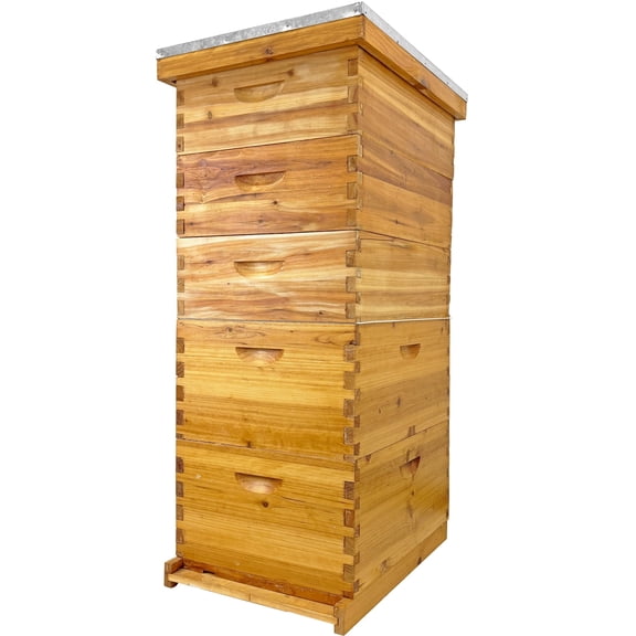 XYJBHB 5-Layer Langstroth Beehive Kit, 100% Beeswax Coated, 2 Deep & 3 Medium Boxes, No Frames