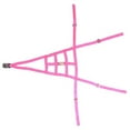 thumbnail image 1 of RJS Racing Equipment 10-0014-10-00 Ribbon Roll Cage Net 4 Point, Non SFI - Hot Pink, 1 of 1