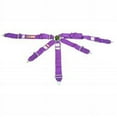 thumbnail image 1 of RJS Racing Equipment 1017108 2 in. 6-Point Junior Dragster SFI 16.1 Camlock Harnesses, Purple, 1 of 1