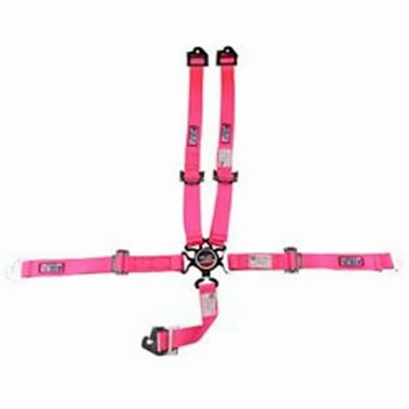 RJS Racing Equipment 1017310 2 in. 5-Point Junior Dragster SFI 16.1 Camlock Harness, Hot Pink