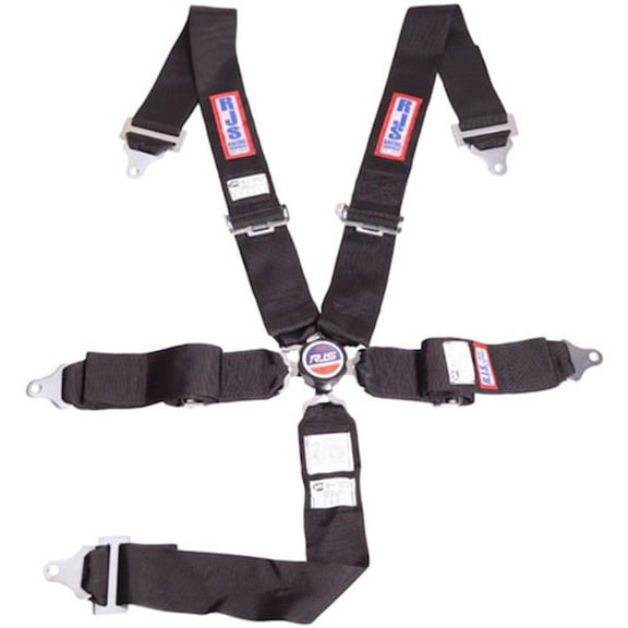 RJS Racing Equipment 1032501 5-Point Cam-Lock Racing Harness Black
