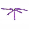 thumbnail image 1 of RJS Racing Equipment 1074408 7 Point Classic Series Camlock Harness, Purple, 1 of 1