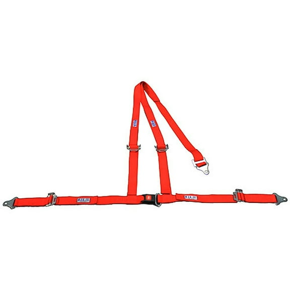 RJS Racing Equipment 4000501 Buckle and Tongue Style Harness with Floor Mount Bl