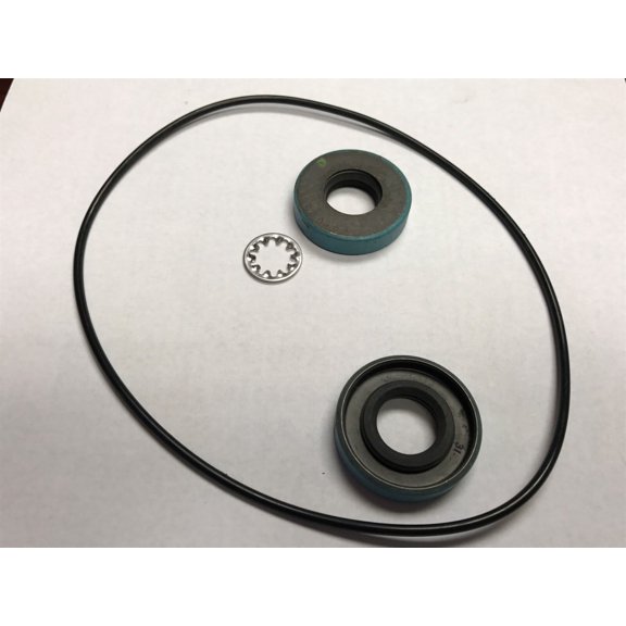 Ace Pumps Lip Seal Kit for PTO Pumps - RK-FMCL (51900)