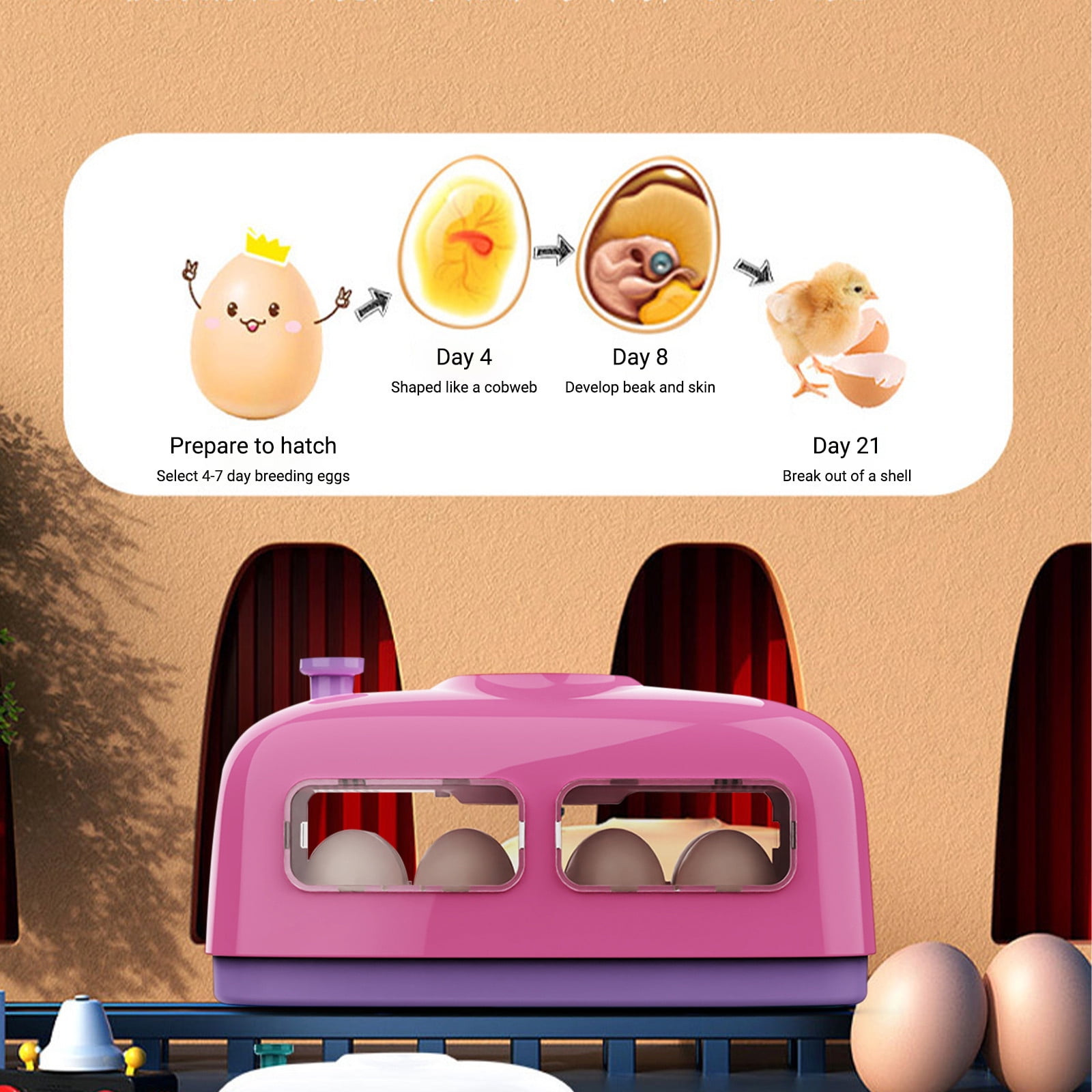 RKSTN Hatching Chicks, 8 Eggs Poultry Hatcher, Cute Little Train Shape