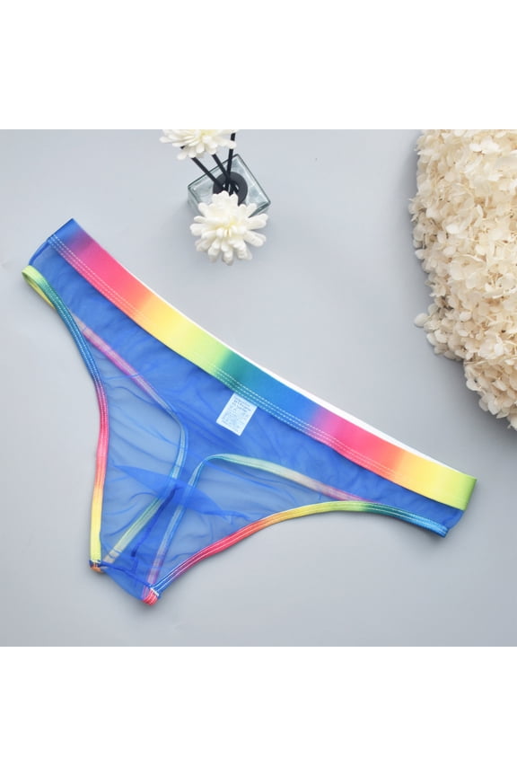 Mens Underwear Briefs Thin Side Bikini Underwear for Men Low Waist Breathable Mesh Stretchy Comfort Resort Vacation Panties for Men with U Shaped Contoured Pouch (Blue ,L)