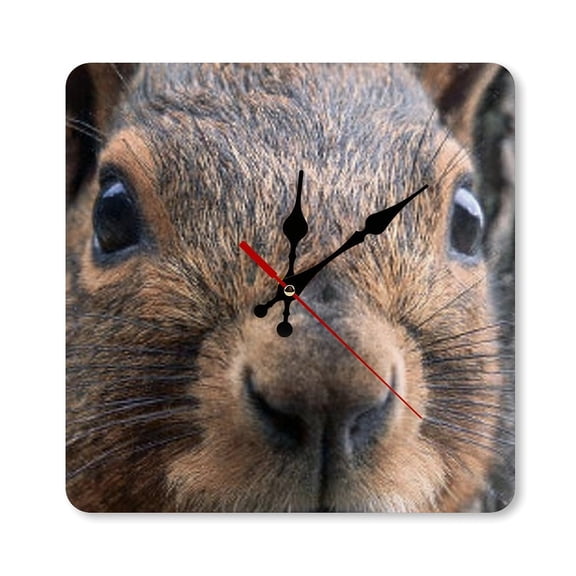 RKSupls 10×10inch Squirrel Close Up Portrait Square Unmarked Wall Clock Silent Non-Ticking Home Decor for Bedroom Living Room Office Classroom Easy to Install