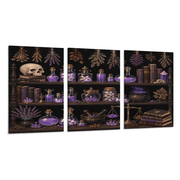 RKSupls 3 Piece Canvas Wall Art Set Modern Farmhouse Living Room Decor Alchemy Potion Shelves Dark Prints Framed Ready to Hang for Bedroom Office