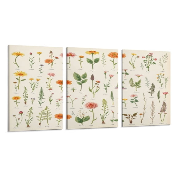 RKSupls 3 Piece Canvas Wall Art Set Modern Farmhouse Living Room Decor Vintage Botanical Flowers Prints Framed Ready to Hang for Bedroom Office